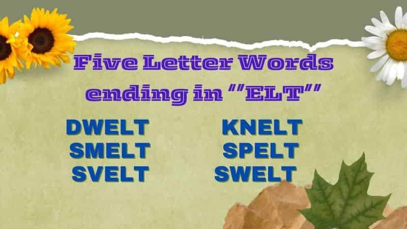 5-letter-words-ending-in-elt-an-ultimate-guide this blog is very illuminating and fascinating about 5 letter words ending in elt.