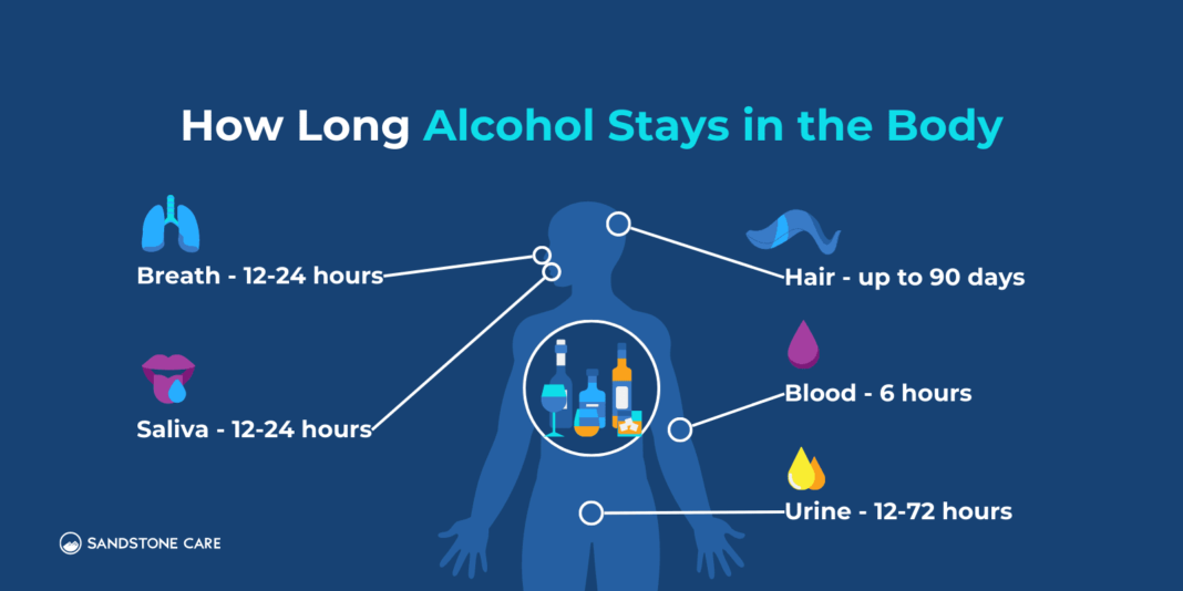 how-long-does-alcohol-stay-in-your-system-a-comprehensive-guide this blog is very edifying about how long does alcohol stay in your system.